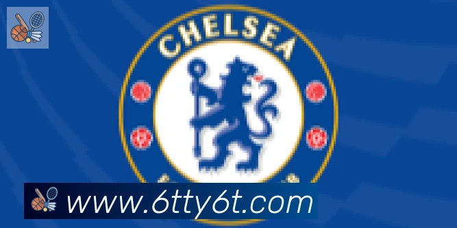 6T体育合作伙伴