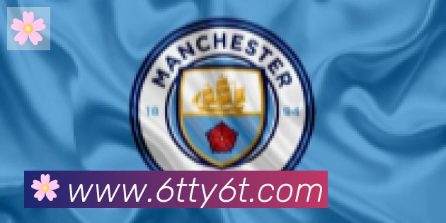 6T体育合作伙伴